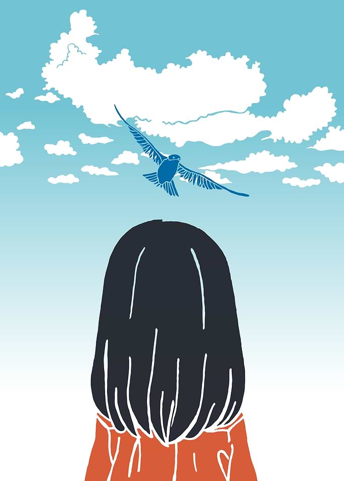 Bird in the clouds