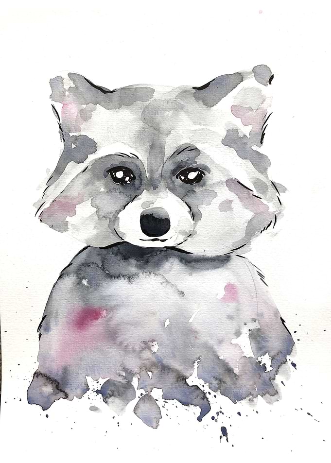 Animal