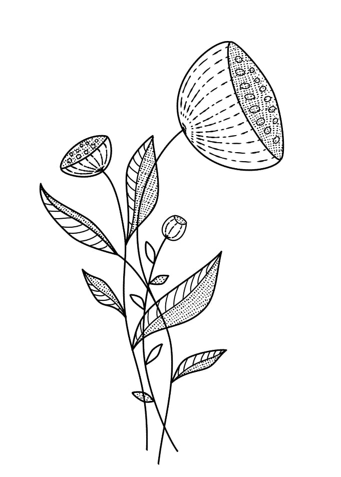 Abstract Flowers Line Art