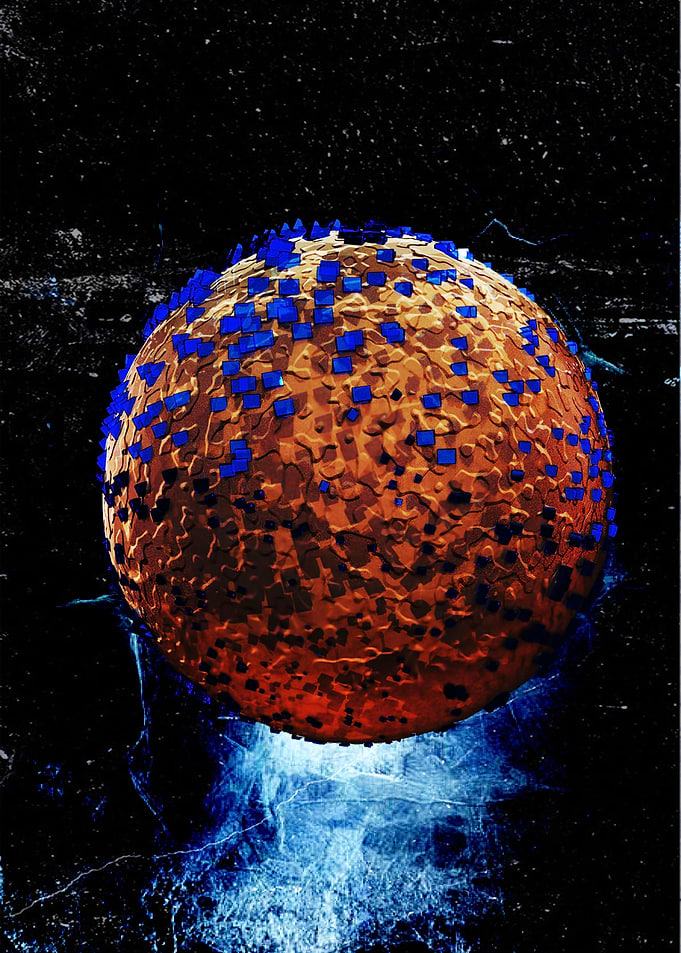 Planet X