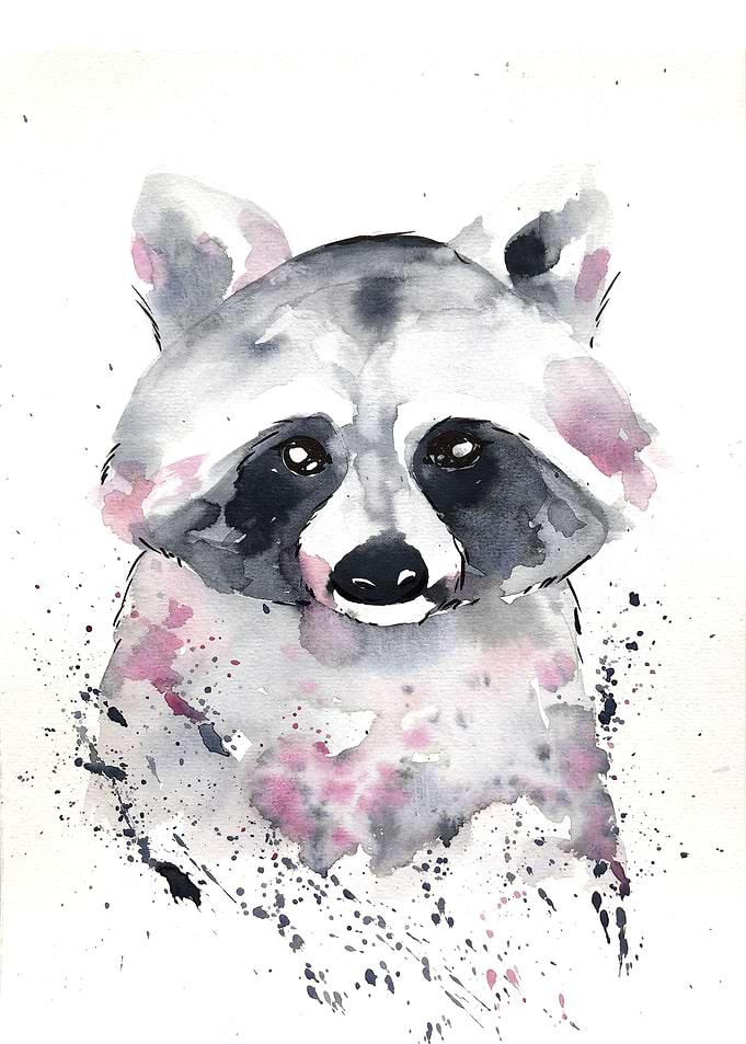 Animal