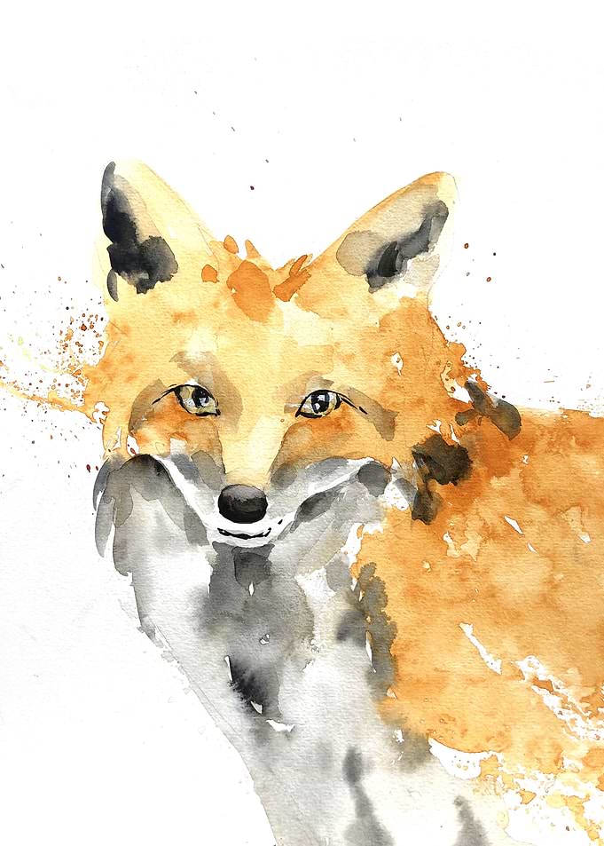 Animal