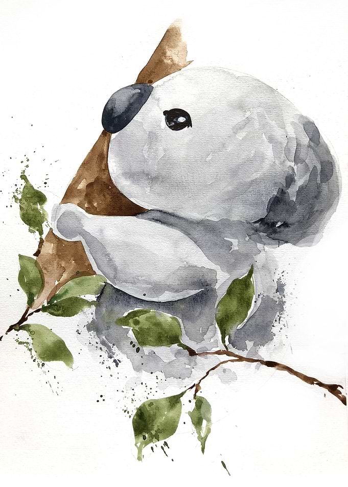 Animal