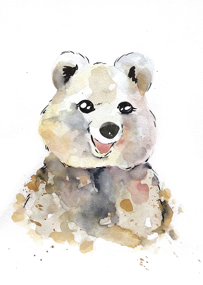 Animal