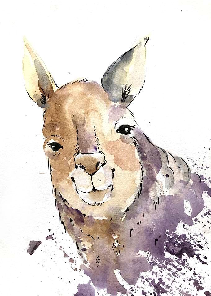 Animal