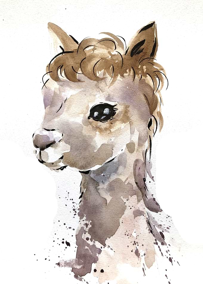 Animal