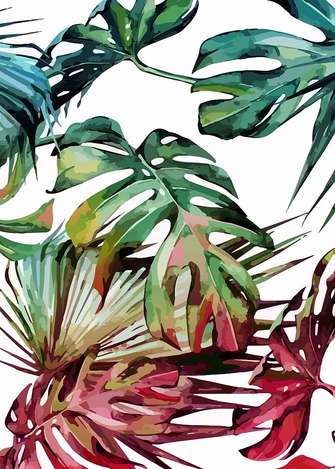 Monstera leaves