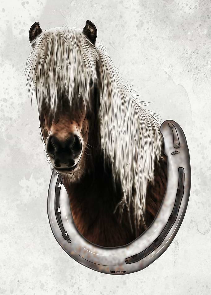 Pony Portrait