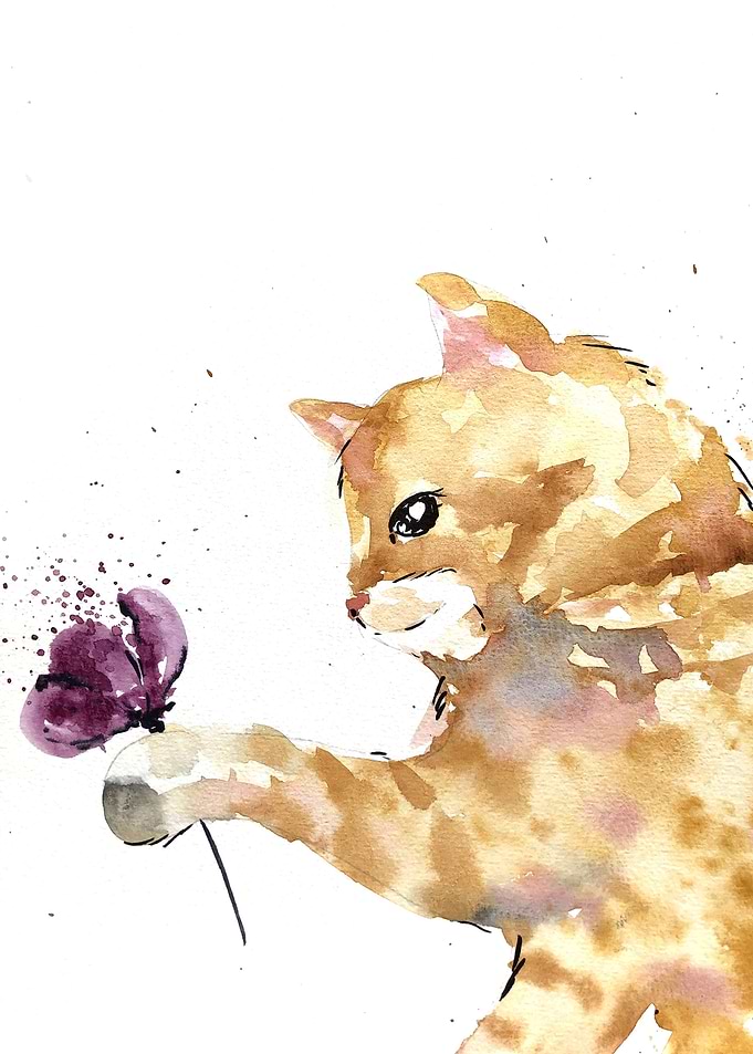 Animal