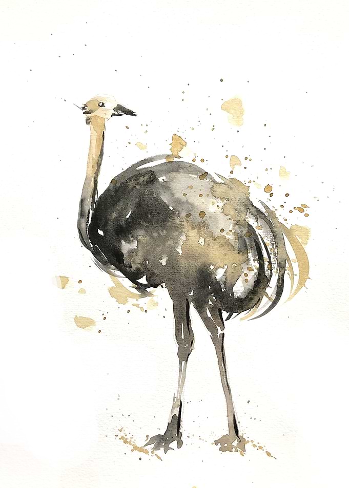 Animal