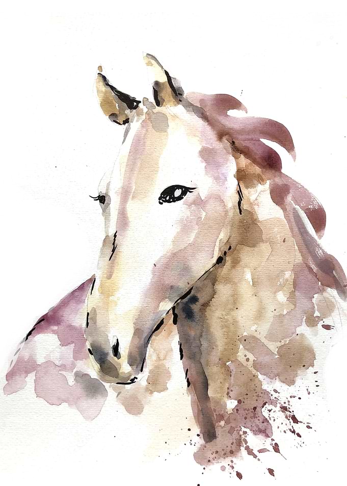 Animal