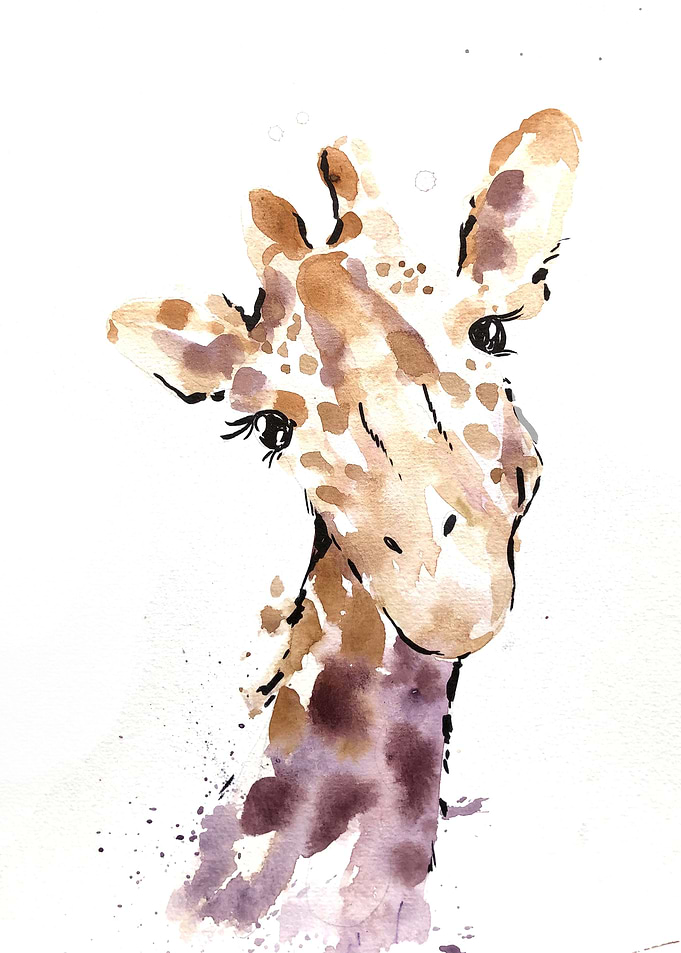 Animal