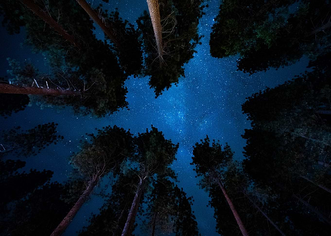 Star Sky