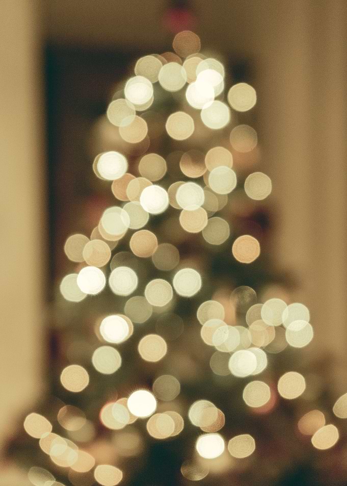 Christmas Tree Lights