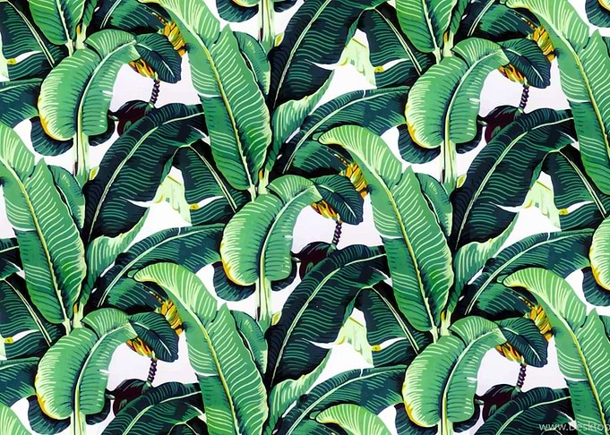 Banana leaves