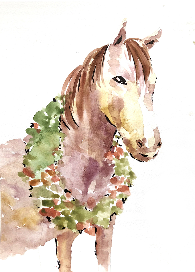 Animal
