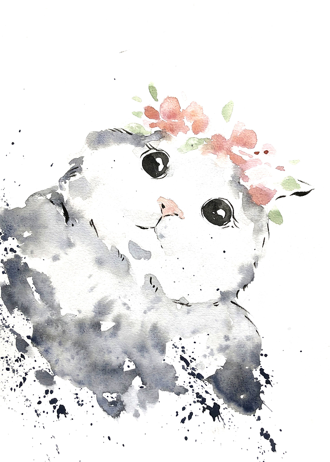 Animal