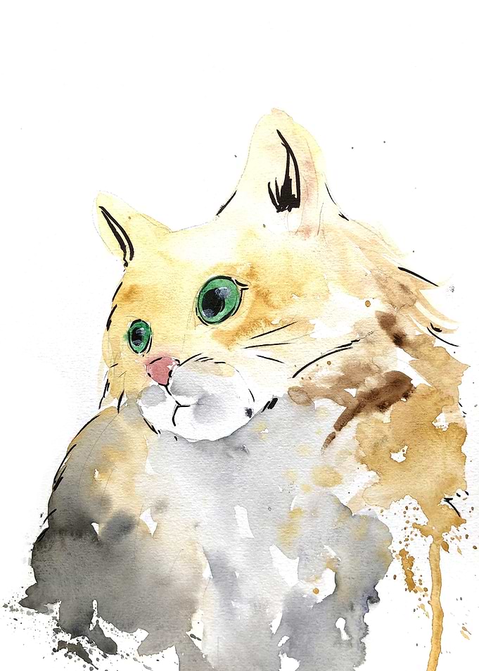 Animal