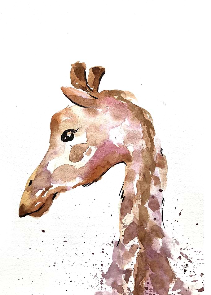 Animal