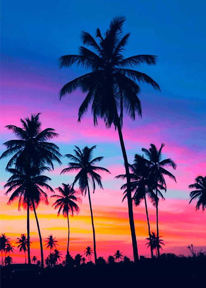 Miami evening