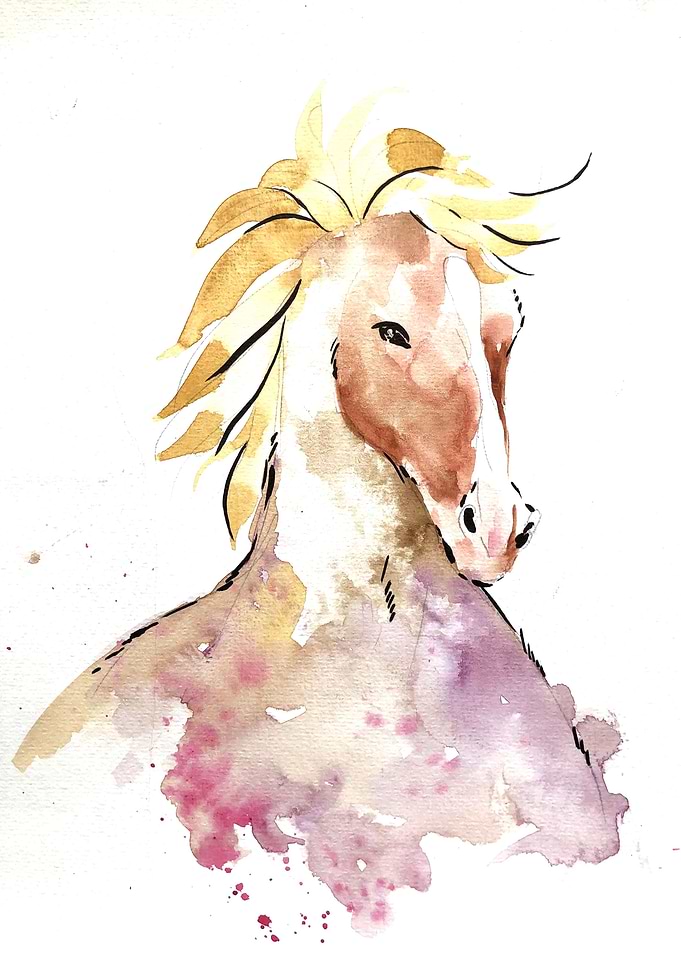 Animal
