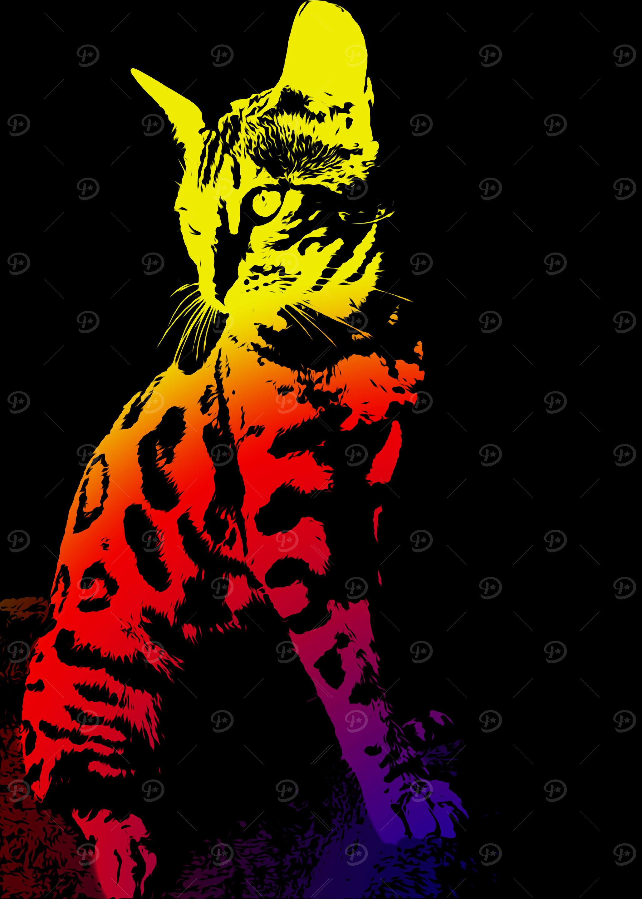 Black Cat