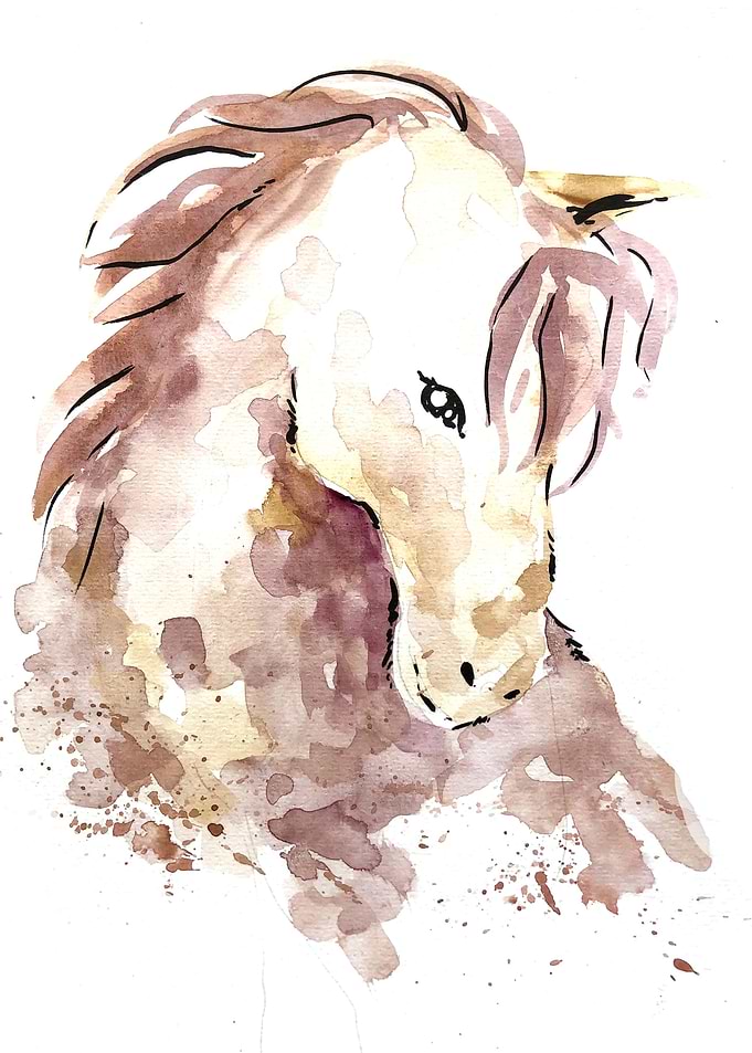 Animal