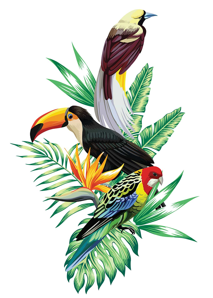 birds composition
