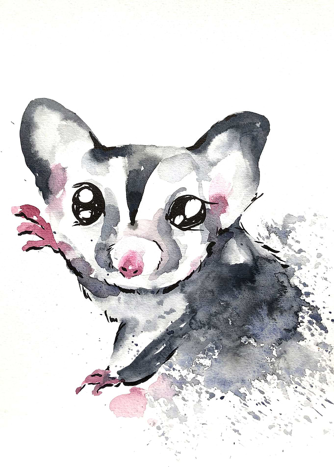 Animal