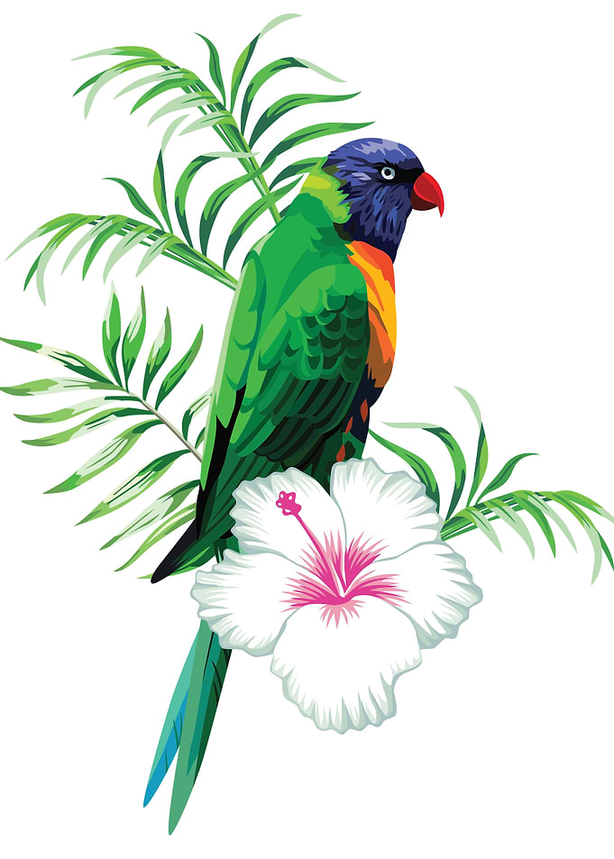 Green parrot