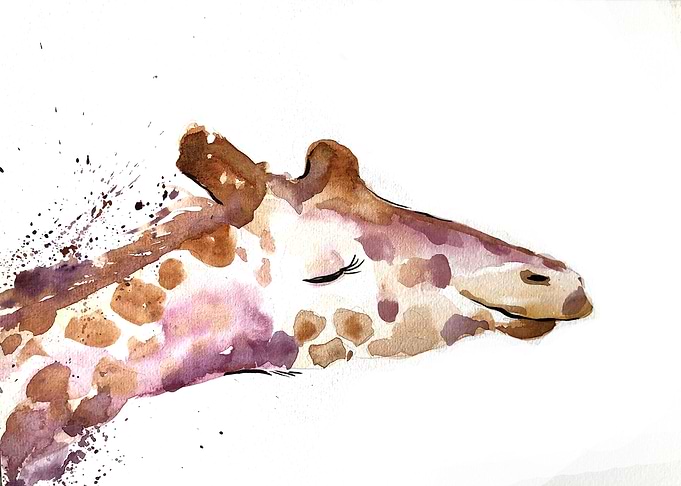 Animal