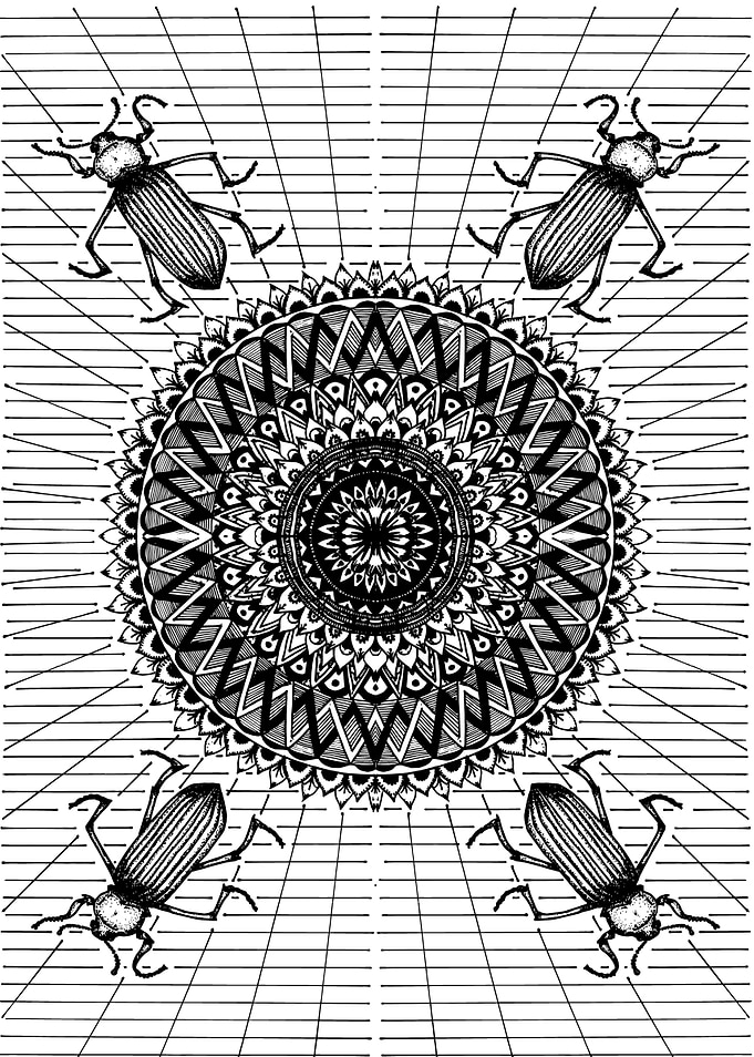 bugs with mandala