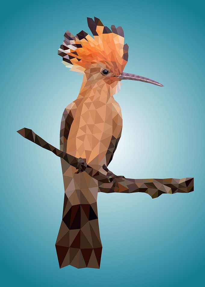 bird wood