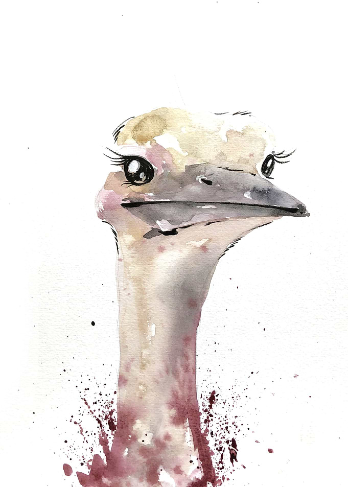 Animal