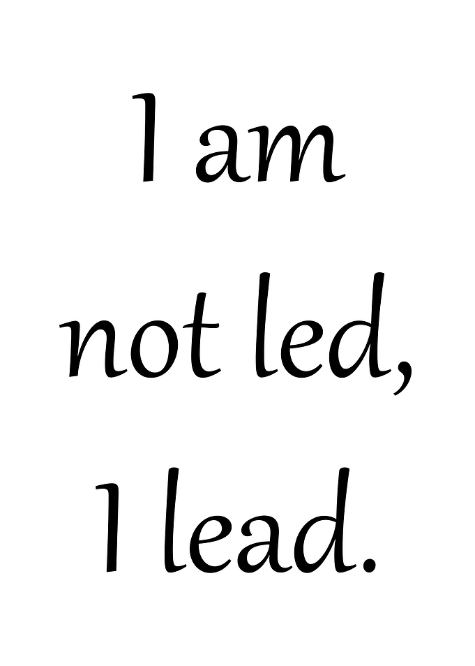 I am not led I lead