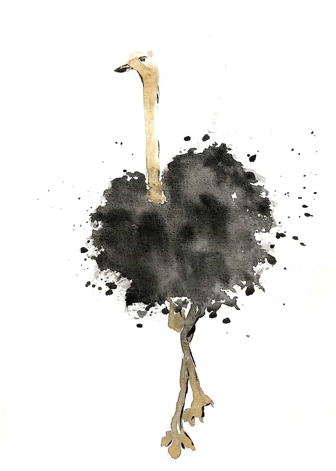 Animal