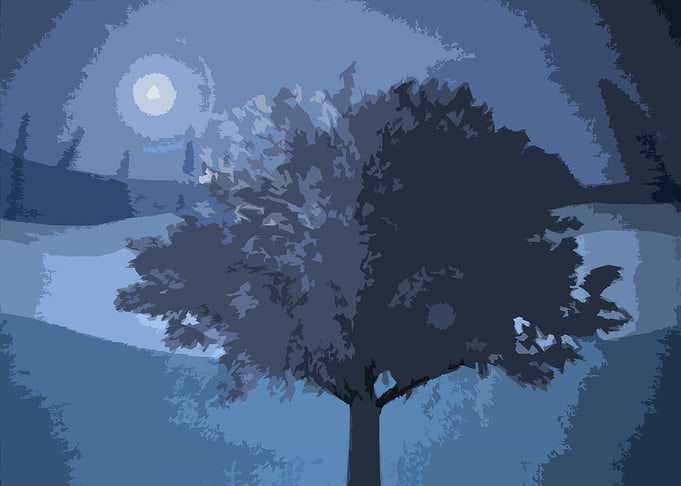 Night Is Calm