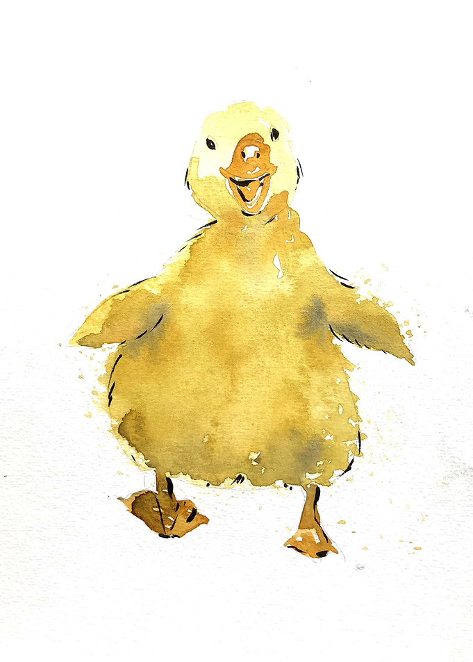 Animal