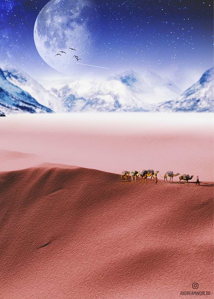 Desert Of Dreams
