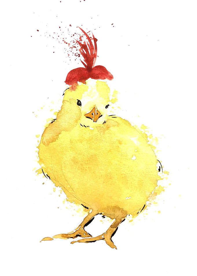 Animal