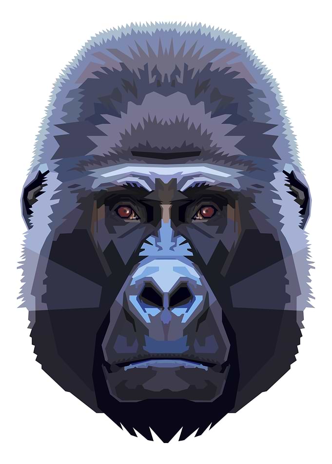 gorilla head