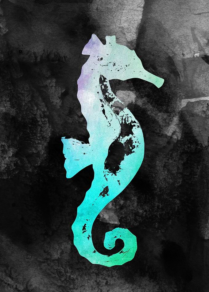 Sea Horse