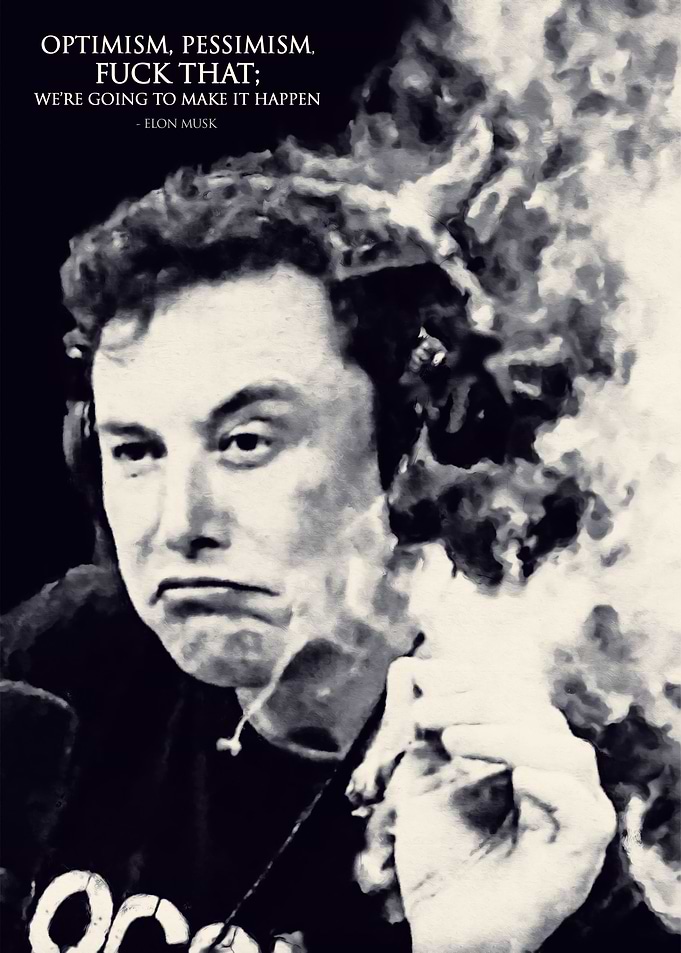Elon Musk Quote