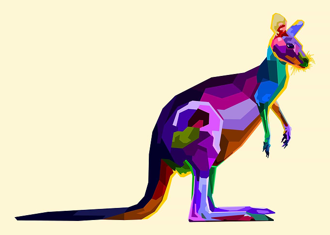 colorful kangaroo