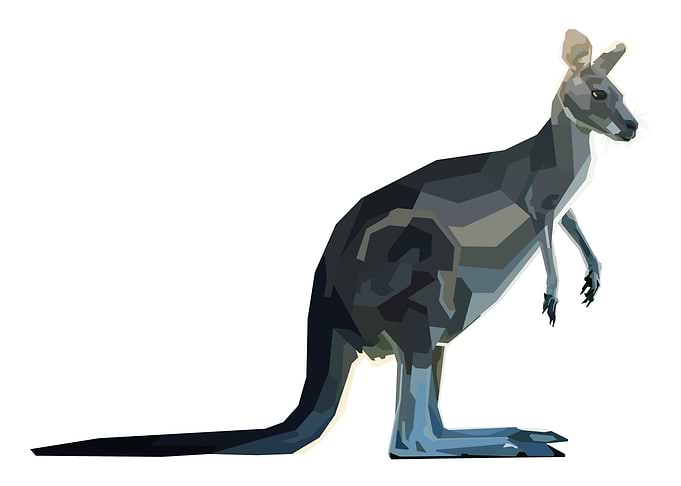 kangaroo on geometric art