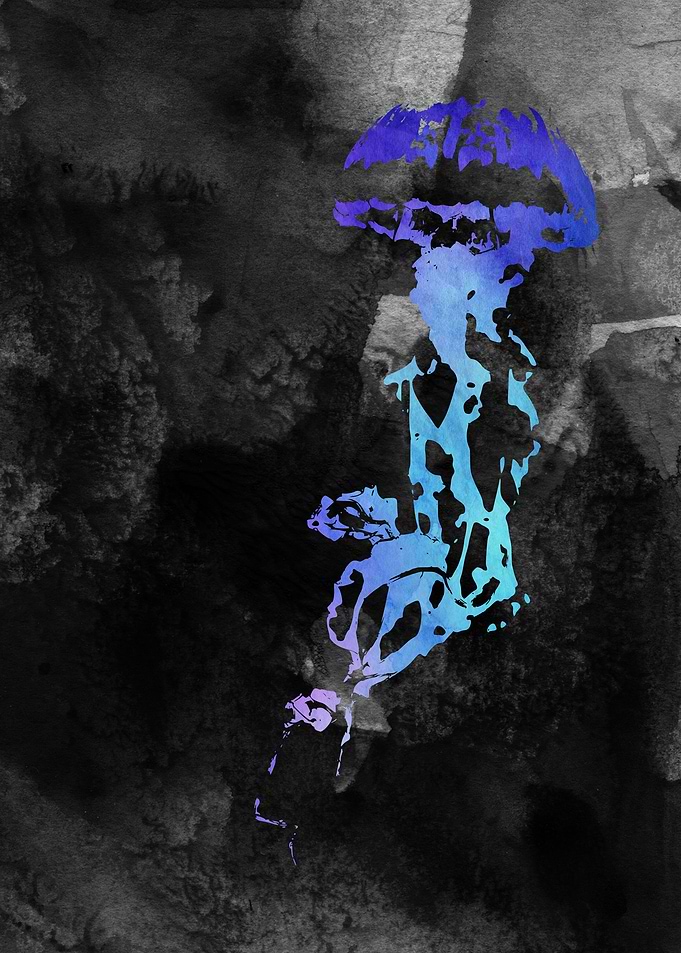 Jellyfish