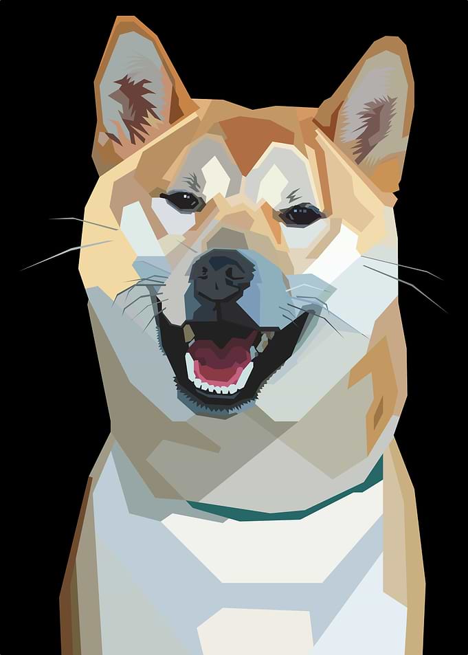 shiba inu dog