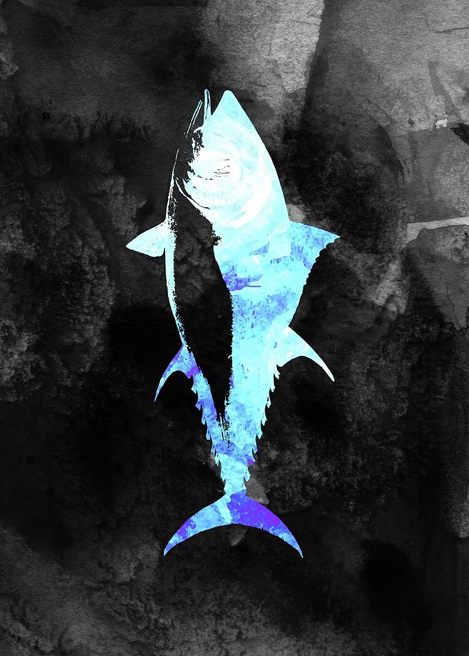 Tuna