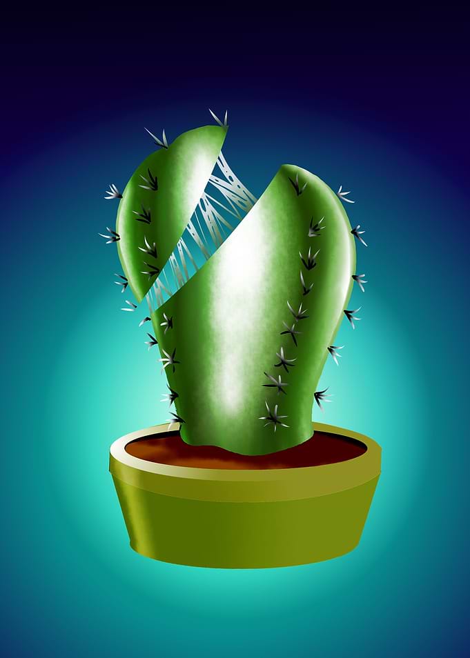 cactus