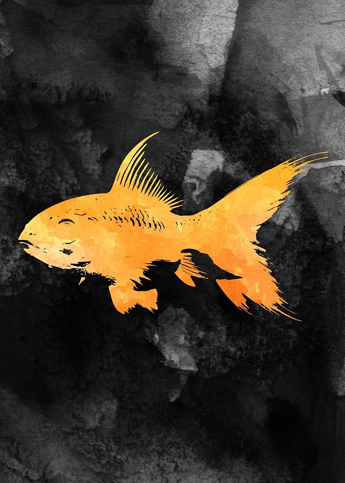 Goldfish